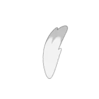 Tail Size_000
